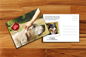 Postcard Design by decorusads for this project | Design: #4928687