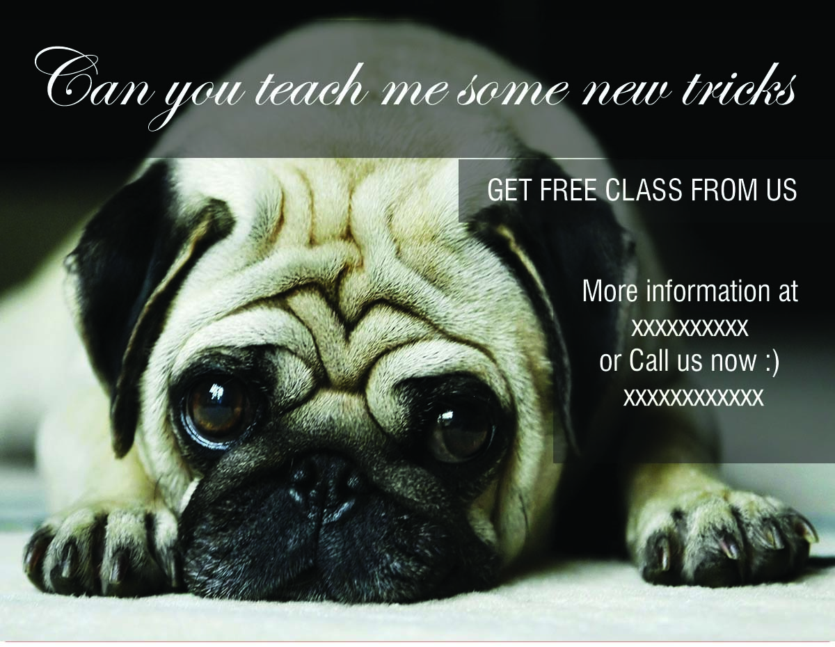 Postkarten-Design von Jessica Li für dieses Projekt | Design #4949201