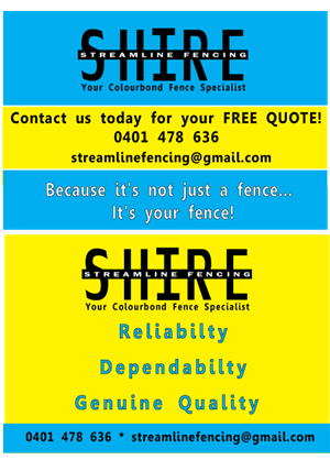 Flyer Design by A3 Graphic Design