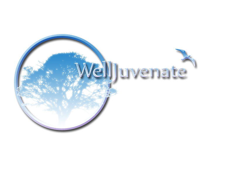 Logo Design by Ocean for WorkTough/PlayTough | Design #242040