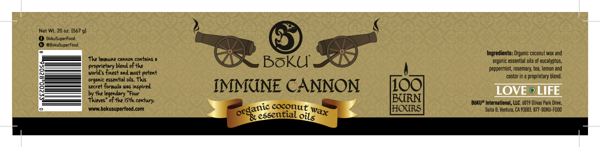 Graphic Design by Sergio Coelho for Boku International,LLC | Design #4904656