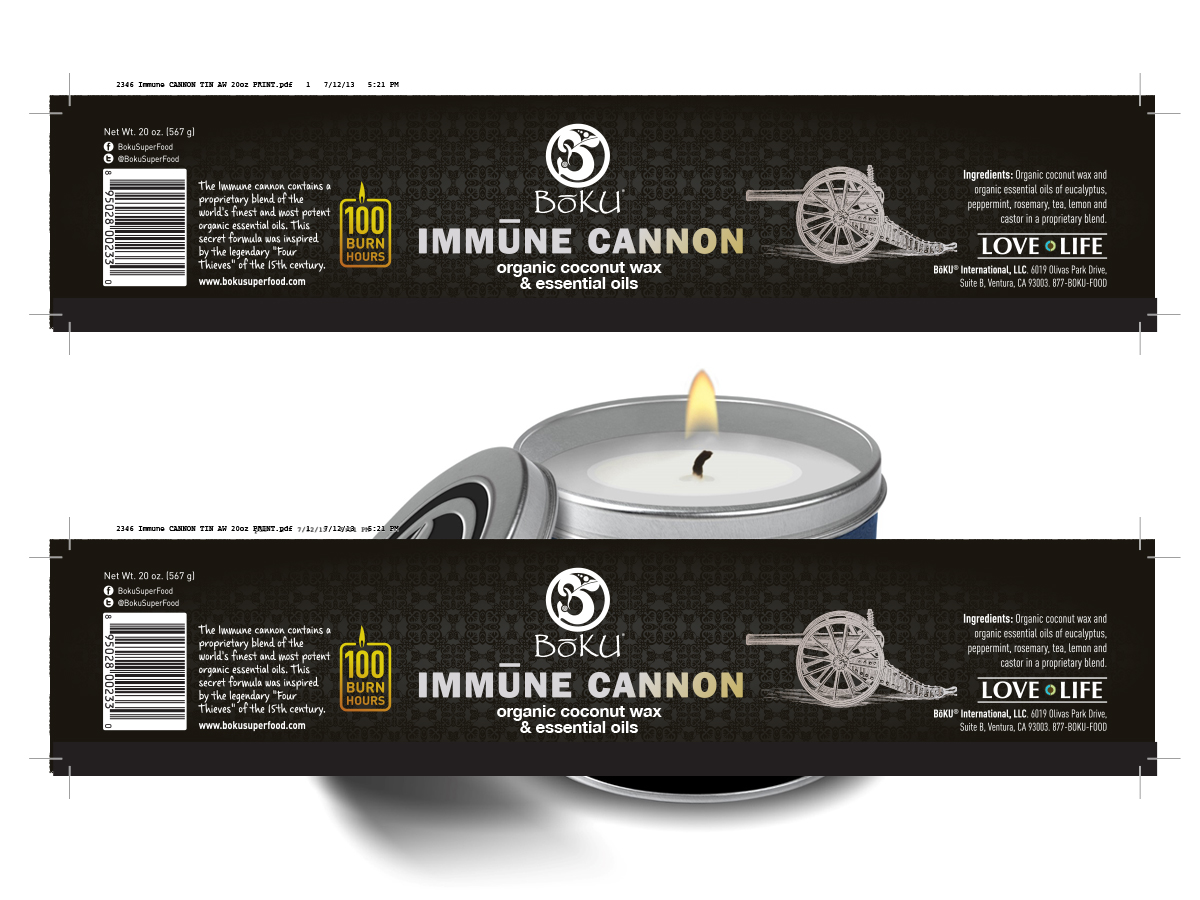 Graphic Design by nextconcept for Boku International,LLC | Design #4922393