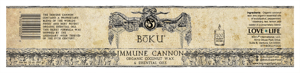 Graphic Design by alexandre_boughourlian for Boku International,LLC | Design #4905036