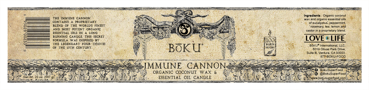 Graphic Design by alexandre_boughourlian for Boku International,LLC | Design #4906134