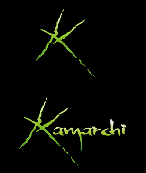 Logo Design by DUAL DESIGNER for this project | Design: #1392802