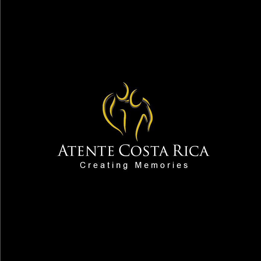 Logo Design by J. Brandt Studio for this project | Design #4921460