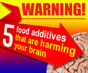Banner Ad Design by Memorylane for this project | Design #4969797