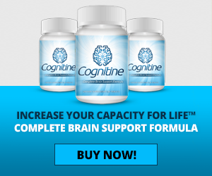 Banner Ad Design by Elegant Designs for this project | Design: #4955211