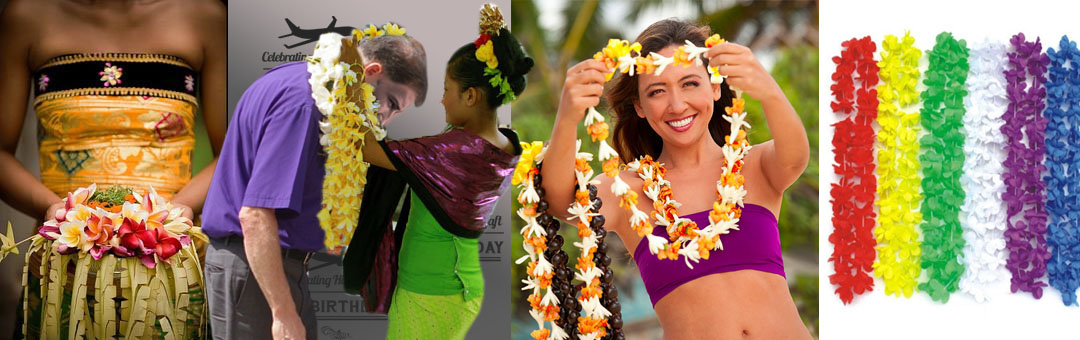 Diseño Gráfico por Juni para Hill Aircraft | Diseño #5032741