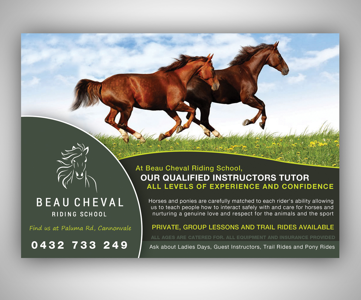 43 flyer designs school flyer design project for a business in horse flyers