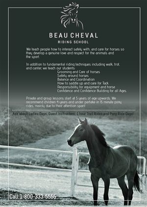 Flyer Design by iD_intelligentDesign for this project | Design #4918419