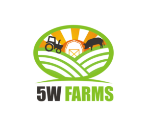 Logo Design by m.ziaurrohman