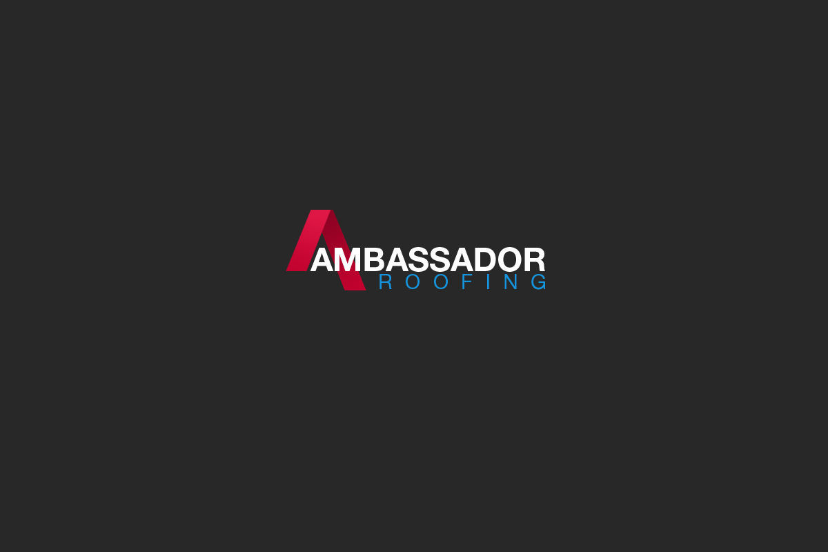 Logo Design by Seamus Radu for this project | Design #4982748