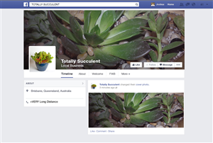 Facebook Design by JDZYN / Calel-a-Vision for this project | Design: #4921064