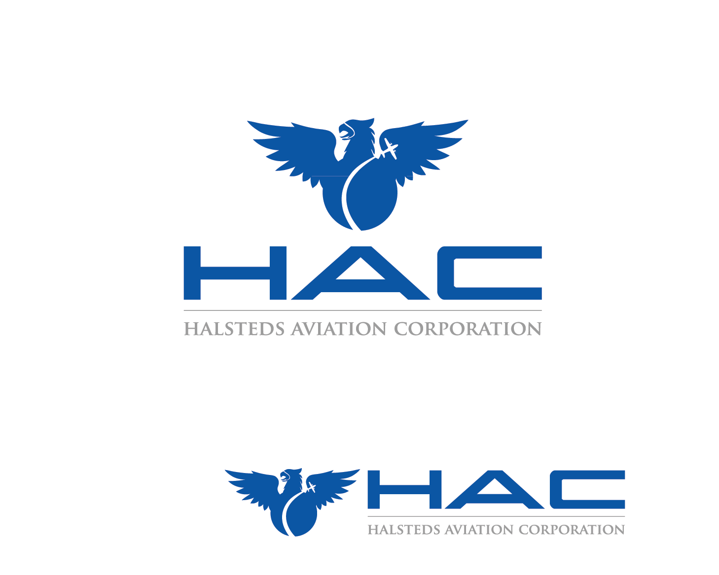 Logo Design by Pv_999 for this project | Design #4930935