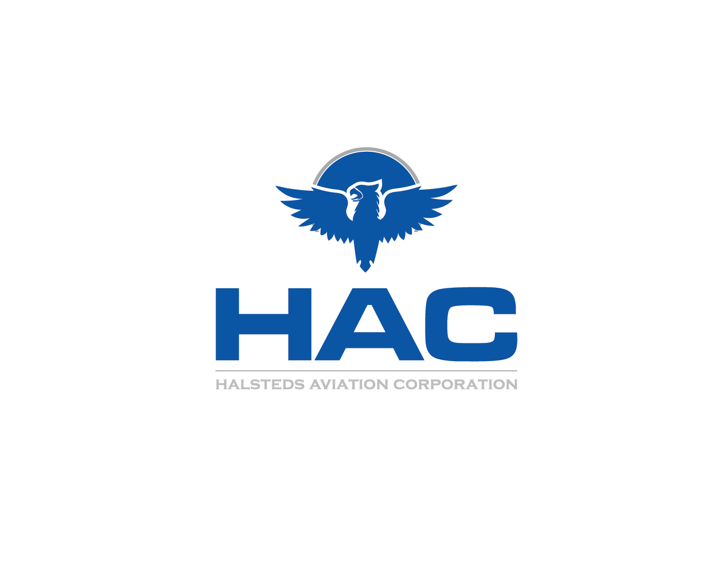 Logo Design by Pv_999 for this project | Design #4964130