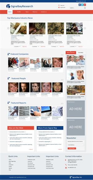 Wordpress Design by Chikki