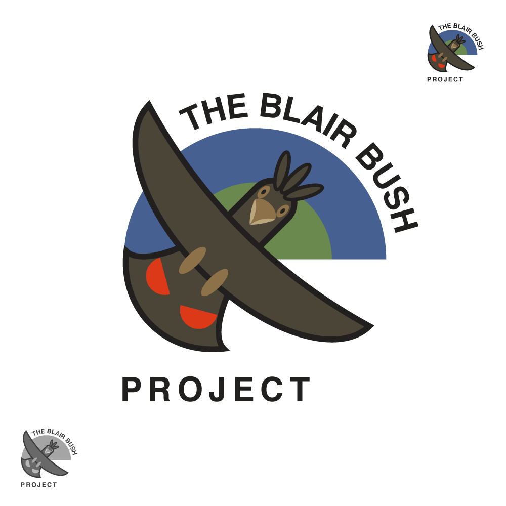 Logo Design by WholeBranding® for The Blair Bush Project | Design #4963343