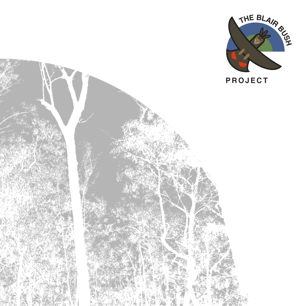 Logo Design by WholeBranding® for The Blair Bush Project | Design #4963346