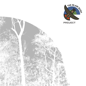 Logo Design by WholeBranding® for The Blair Bush Project | Design: #4963346