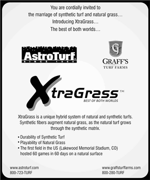 Advertisement Design by creative team
