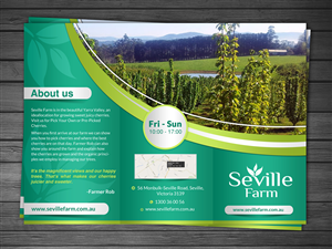 Flyer Design by debdesign