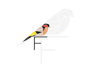 Finch's | Logo Design by shadez