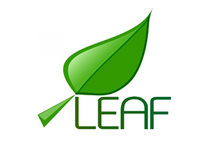 Logo Design by Adams.Art