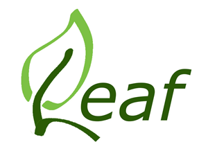 Logo Design by makewell graphic