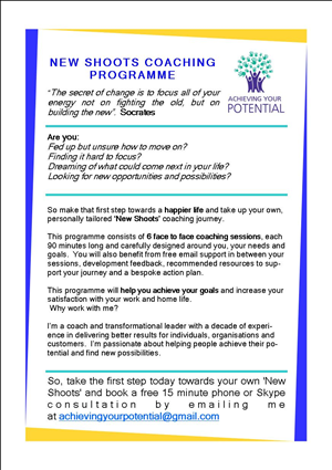 Flyer Design by senith for this project | Design #4953619