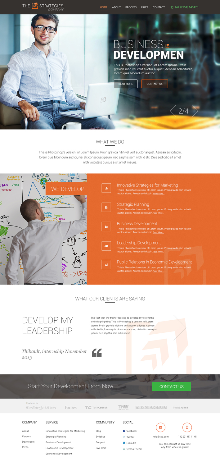 Logo Design by the-lion-king for The Strategies Company | Design #4974537