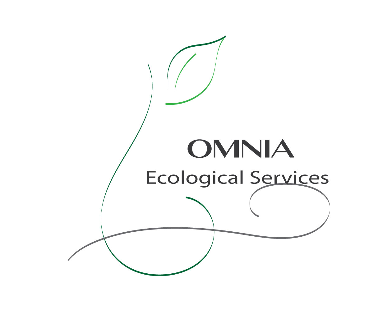 Logo Design by milicontreras22 for this project | Design #4941345