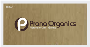Logo Design by ESolz Technologies