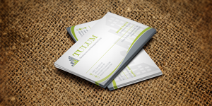 Tulum Development and Management Corp. Business Card | Business Card Design by WebixBD