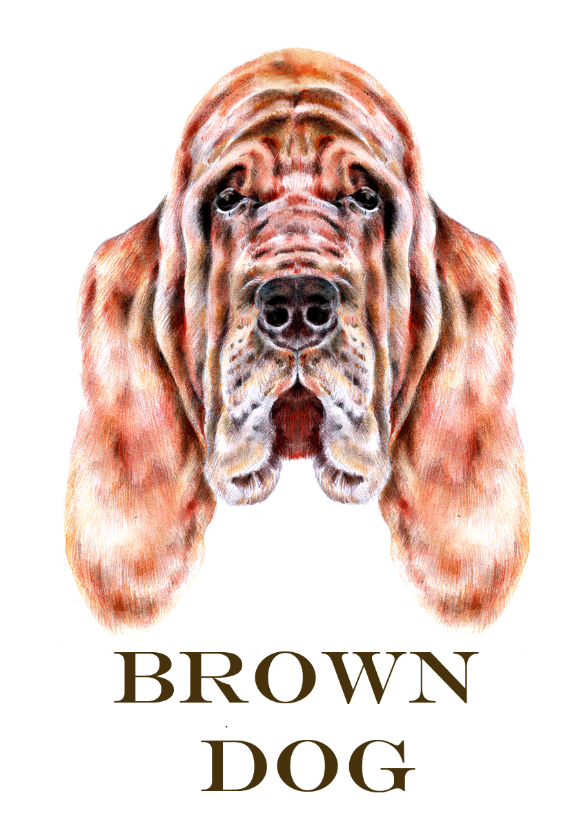 Logo Design by Dawn Larder for Brown Dog Ventures | Design #4949268