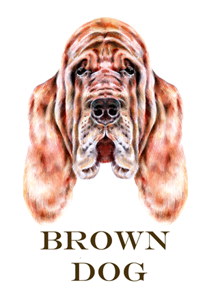 Logo Design by Dawn Larder for Brown Dog Ventures | Design: #4949268