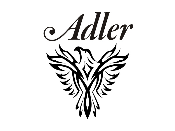 Logo Design by aiyi for this project | Design #248018