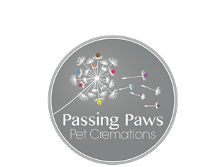 Logo Design by Moop Creative
