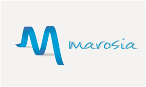Logo Design by TAMZ