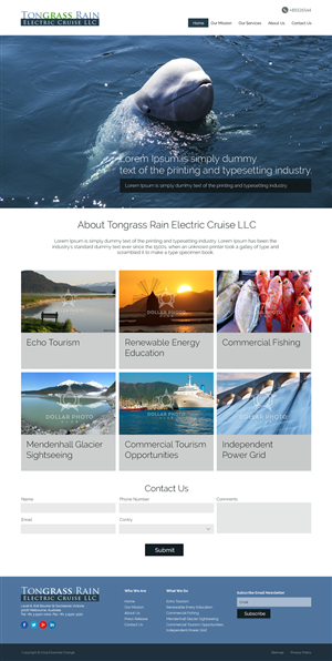 Web Design by bedesign for Tongass Rain Electric Cruise | Design: #5007171