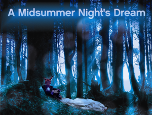 A Midsummer Night's Dream Poster for School Theatre Brochure - Photoshop / Illustration Design | Design Photoshop par Octav