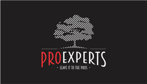 Logo Design by JL 2 for this project | Design: #4985124