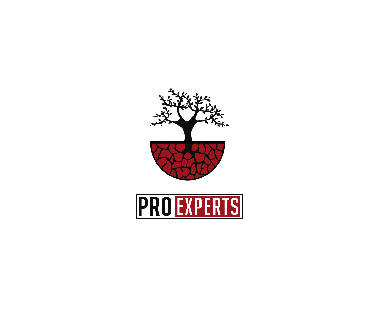 Diseño de Logo por L.A. para este proyecto | Diseño #4952991