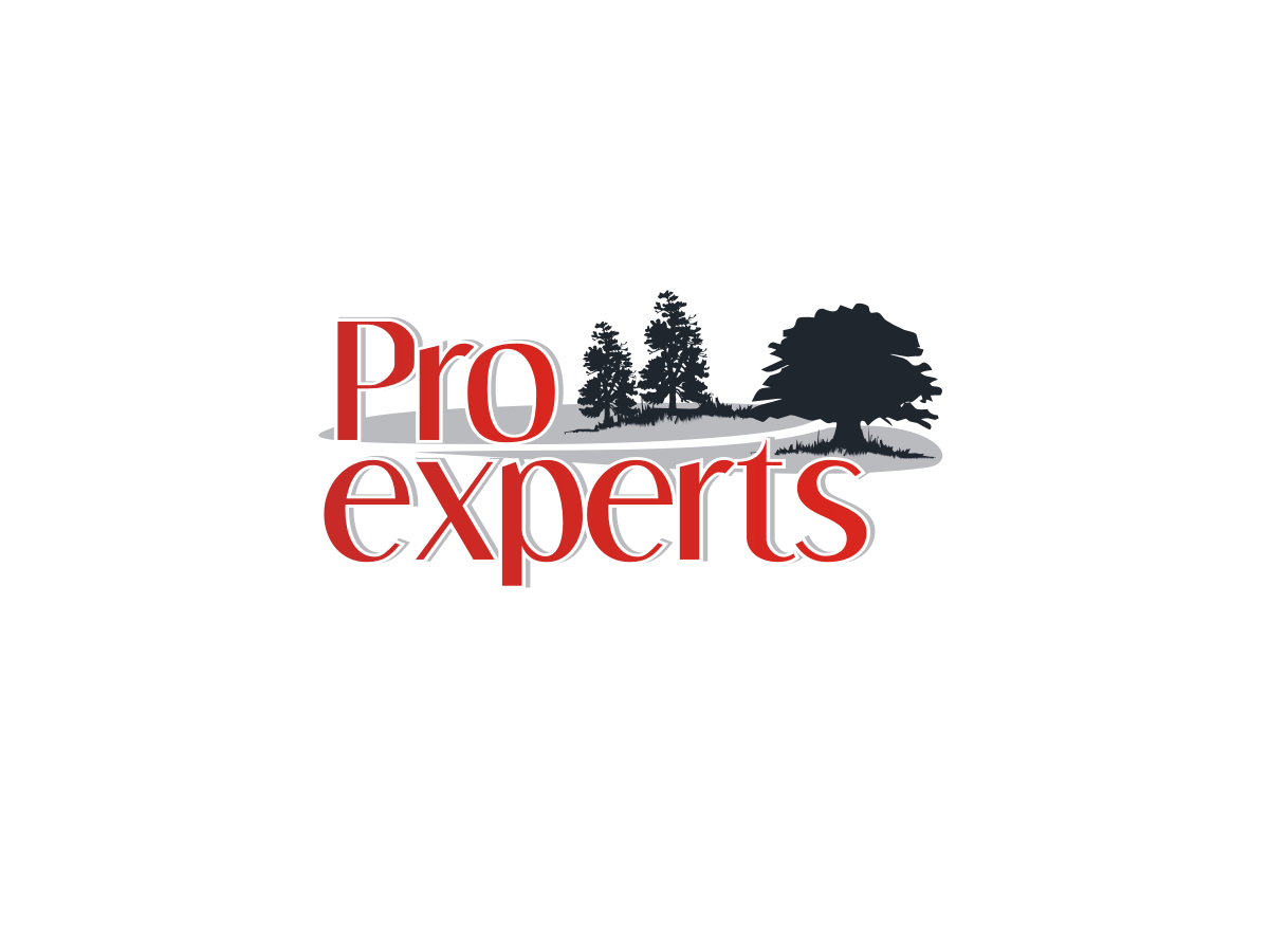 Logo Design by Blueberry for this project | Design #4944699