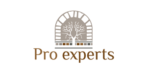 Logo Design by debdesign