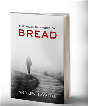 Book Cover Design by andreea31