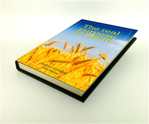 Book Cover Design by Ramaling Belkote for this project | Design: #5009552