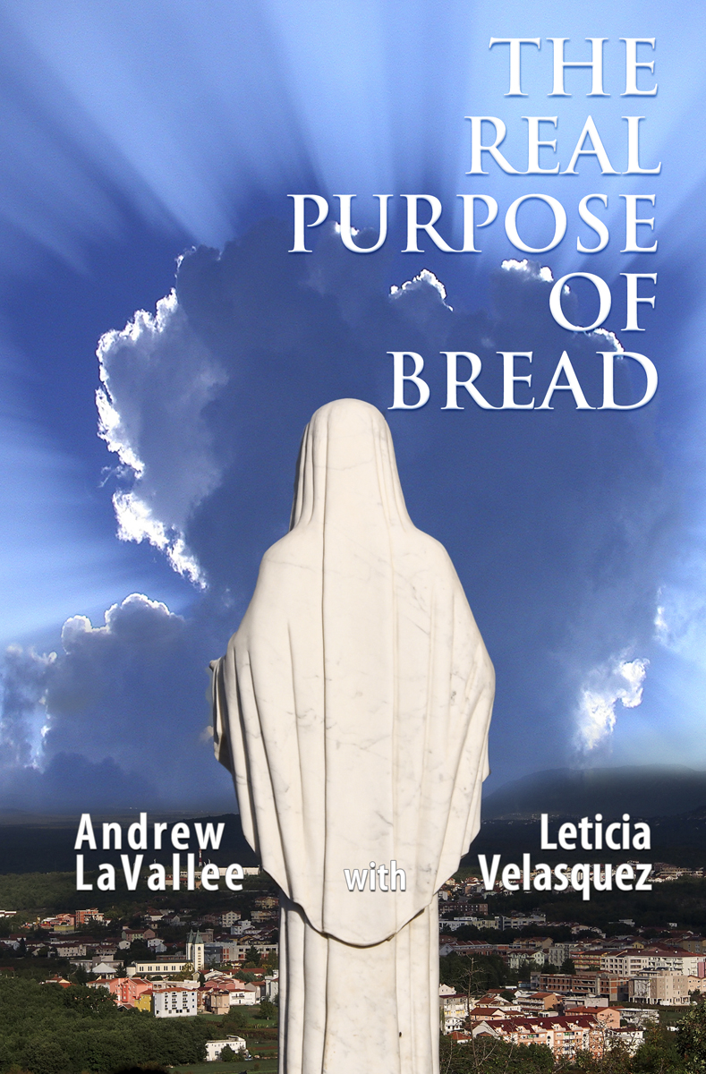 Book Cover Design by illuminati-design for this project | Design #4985609