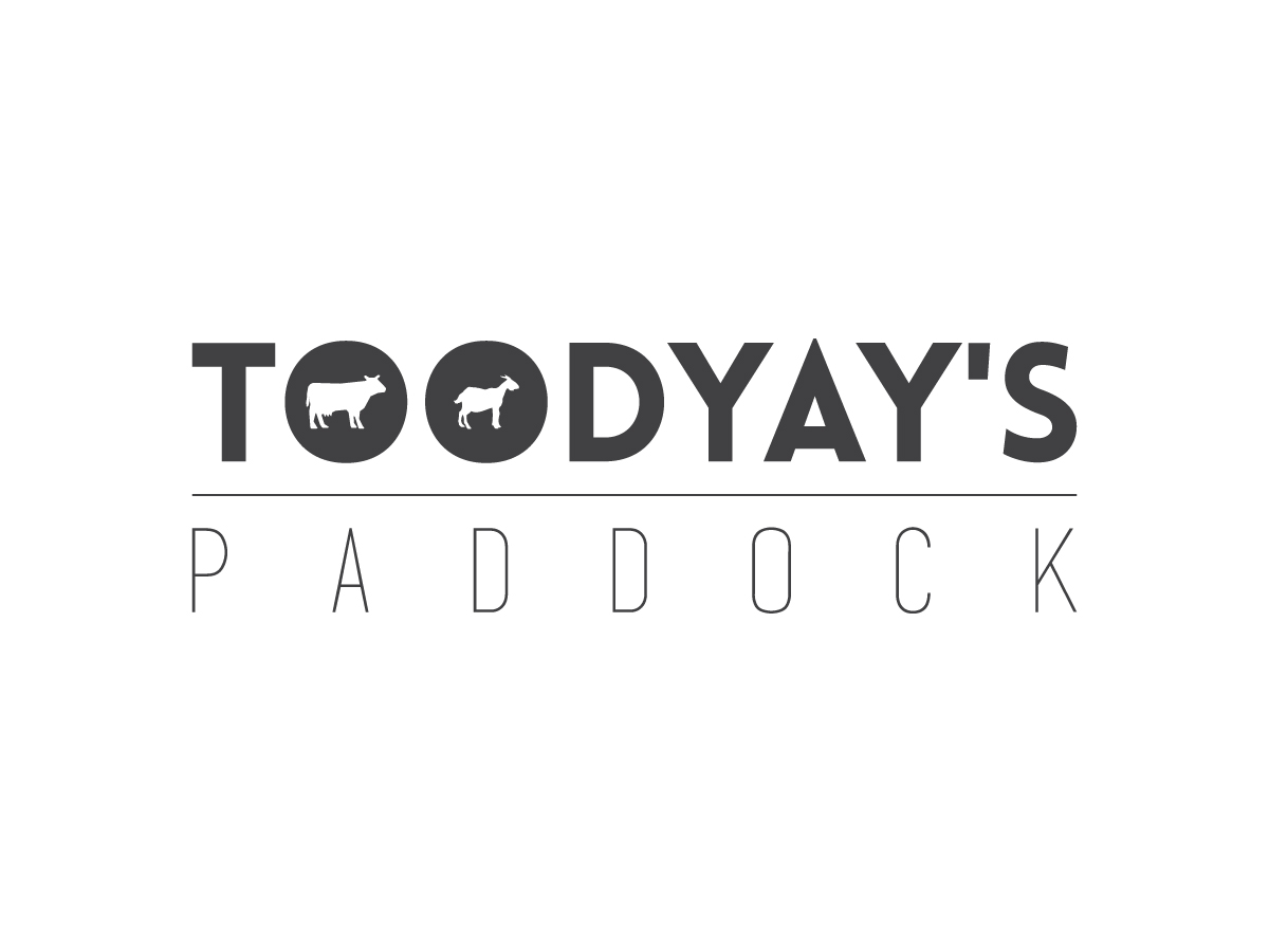 Logo Design by Q for this project | Design #4952754