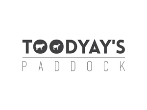 Logo Design by Q